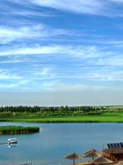 Zhangtan Wetland Park