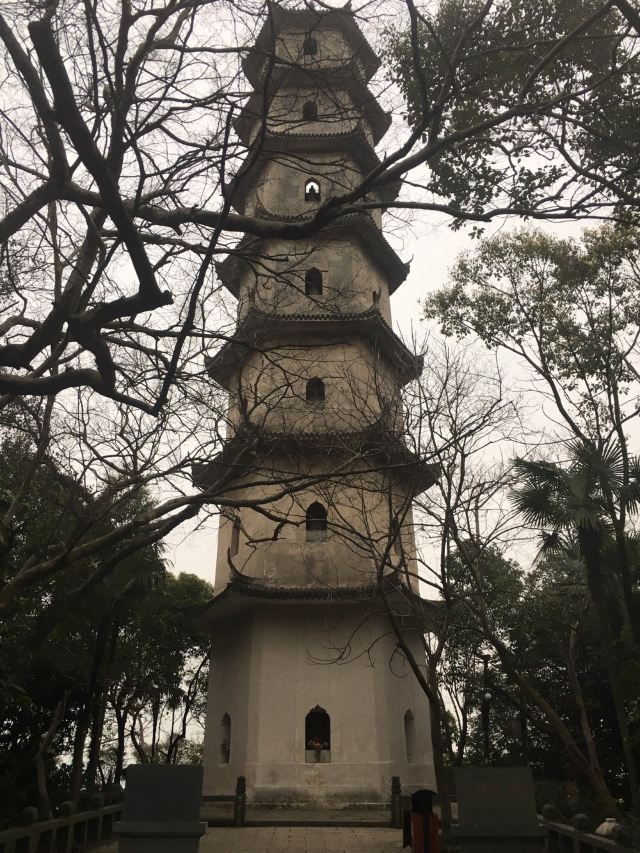 장신위섬