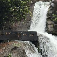 評論圖片 6