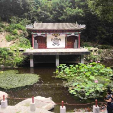 評論圖片 5