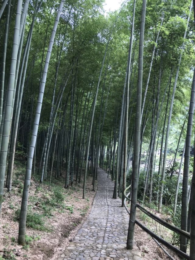 저우둥 소구