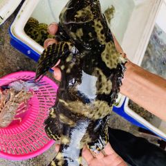 Song Pee Nong 2 User Photo