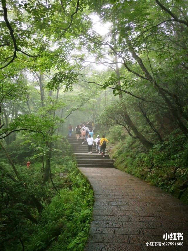 베이하이 관광지구
