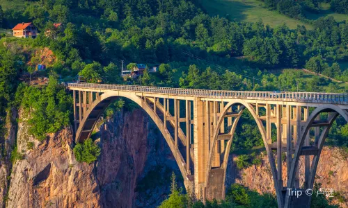 Đurđevića Tara Bridge