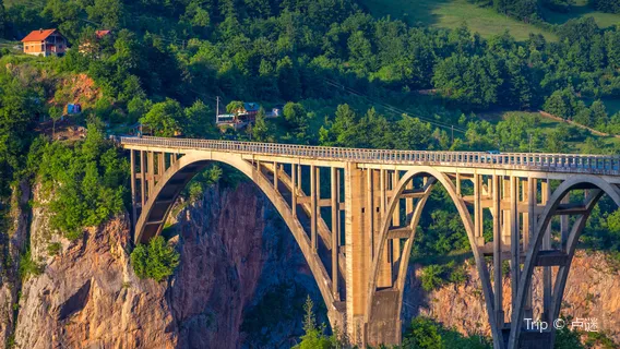 Đurđevića Tara Bridge