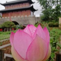 評論圖片 5