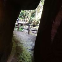 評論圖片 4