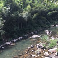 評論圖片 5
