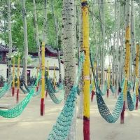 評論圖片 7