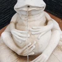 評論圖片 2
