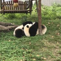 評論圖片 5