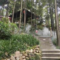 評論圖片 1