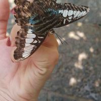 評論圖片 9