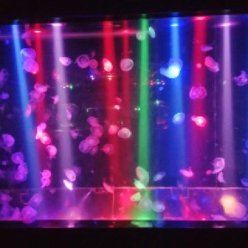 評論圖片 2