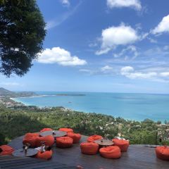 The Jungle Club Restaurant ảnh của người dùng