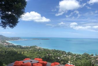 The Jungle Club Restaurant User Photo