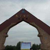 評論圖片 3