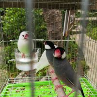 評論圖片 5