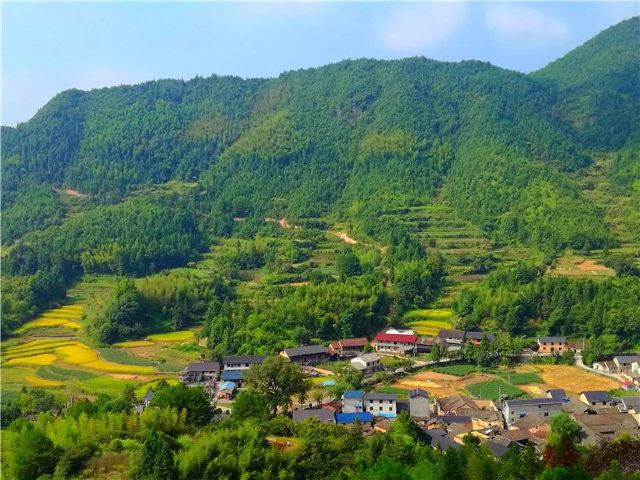 官浦垟村
