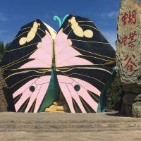 評論圖片 2