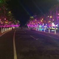 評論圖片 9