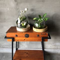 LAO BIAN JIU JIA User Photo
