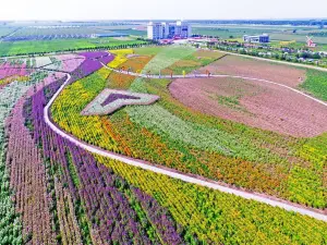 寶泉嶺現代農業生態園