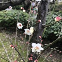 評論圖片 6