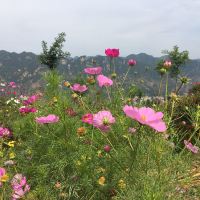 評論圖片 6