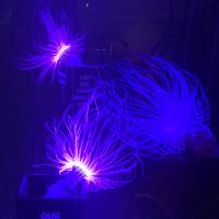 評論圖片 7