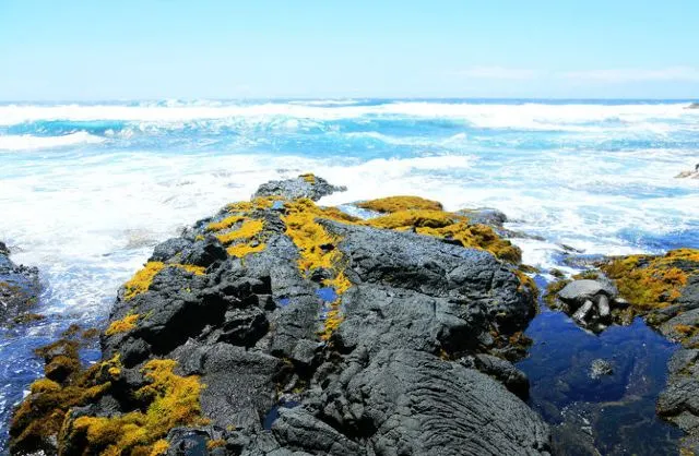 繽紛夏威夷 | 如何玩轉彩虹州,這幾種顏色告訴你!