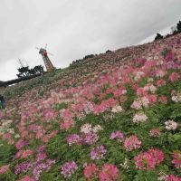 評論圖片 2