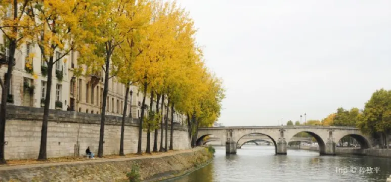 The Louvre Museum Guide: Hours, Tickets and Tips Handy Guide