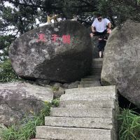 評論圖片 9
