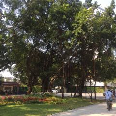 TaoRanXuan User Photo