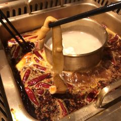 小龙翻大江·火锅美学(外滩店) User Photo