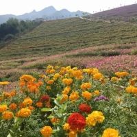 評論圖片 2
