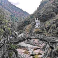 評論圖片 1