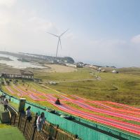 評論圖片 4