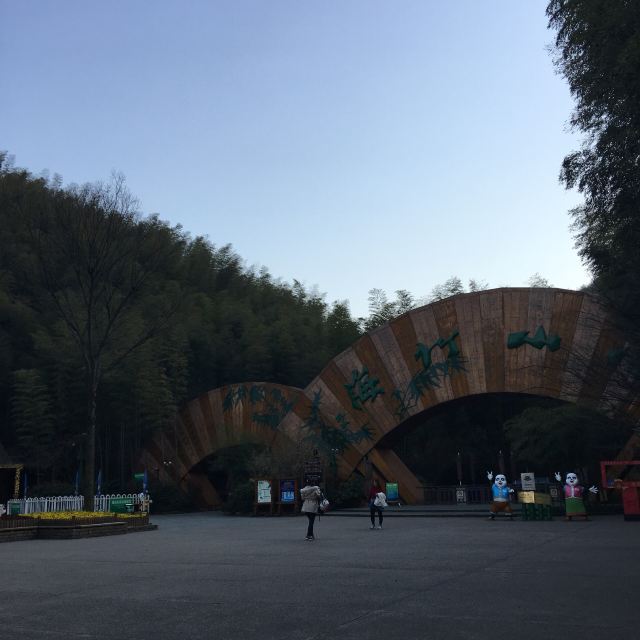 Nanshan Bamboo Sea