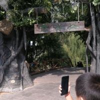 評論圖片 8