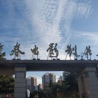 評論圖片 1