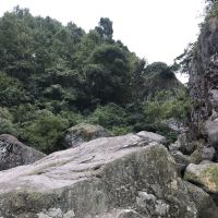評論圖片 5