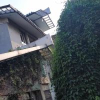 評論圖片 5