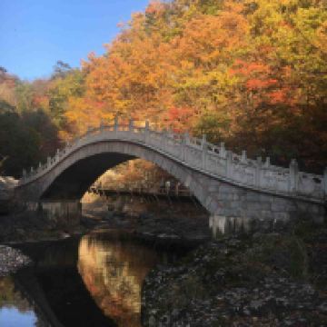 評論圖片 5