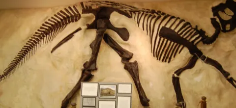 Charles R. Conner博物館