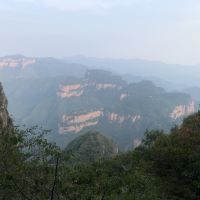 評論圖片 3