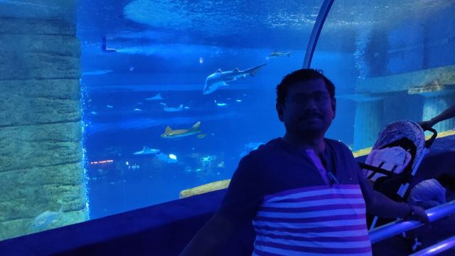 正佳極地海洋世界