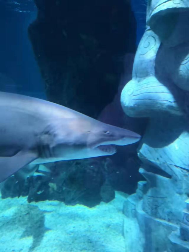 Changfeng Ocean World