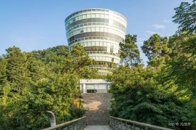 9 Best Locations to See Chongqing Nightview